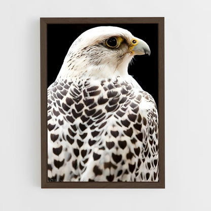 ap-gyrfalcon-3 cadre Bois foncé