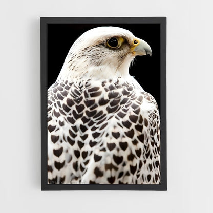 ap-gyrfalcon-3 cadre Noir