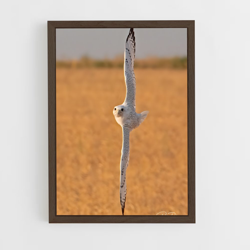 ap-gyrfalcon-4 cadre Bois foncé