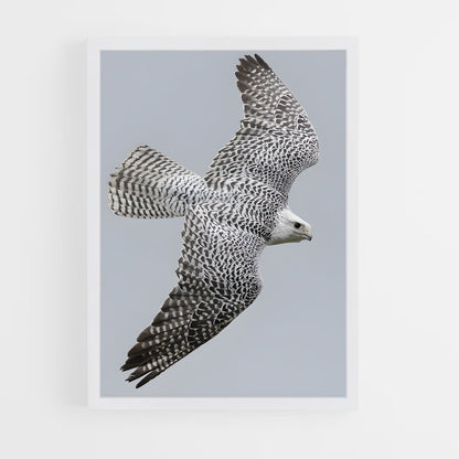 ap-gyrfalcon-5 cadre Blanc