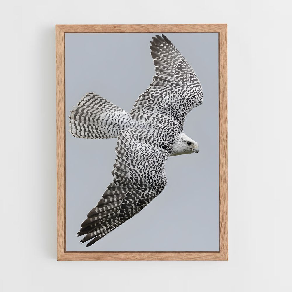 ap-gyrfalcon-5 cadre Bois clair