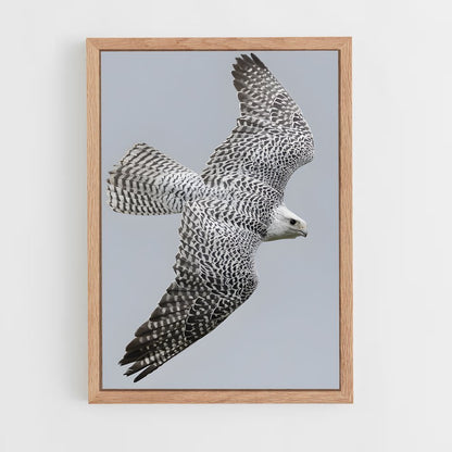 ap-gyrfalcon-5 cadre Bois clair