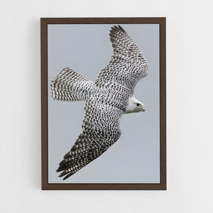 ap-gyrfalcon-5 cadre Bois foncé