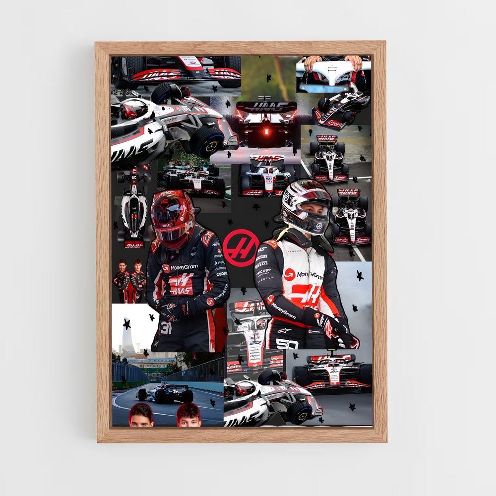 ap-haas f1 team-2 cadre Bois clair