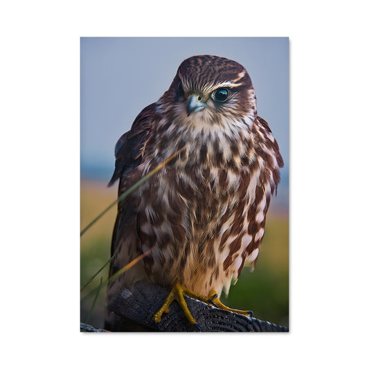 Poster Hafnarfjordur 90817