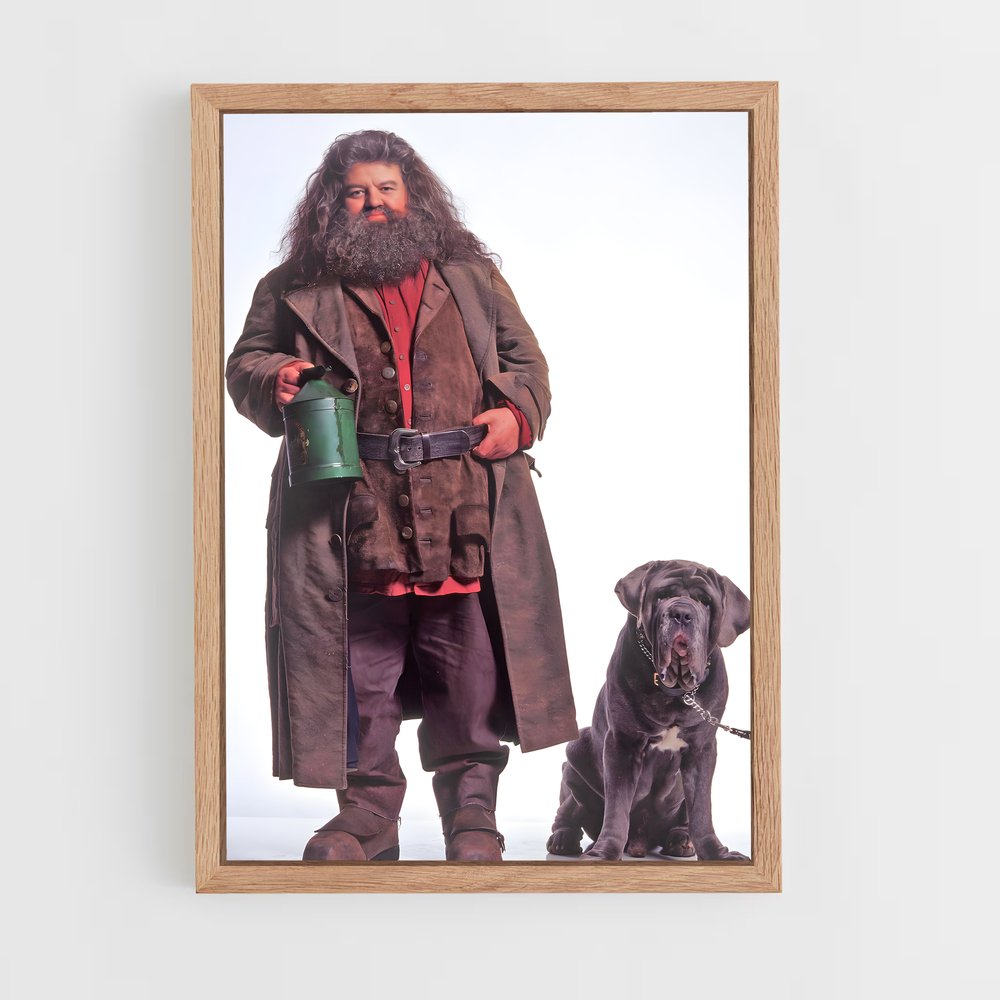 ap-hagrid-2 cadre Bois clair
