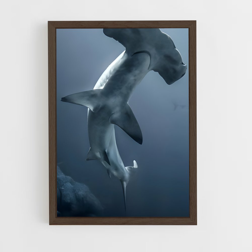 ap-hammerhead shark-2 cadre Bois foncé