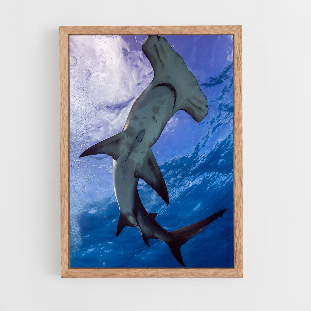ap-hammerhead shark-3 cadre Bois clair