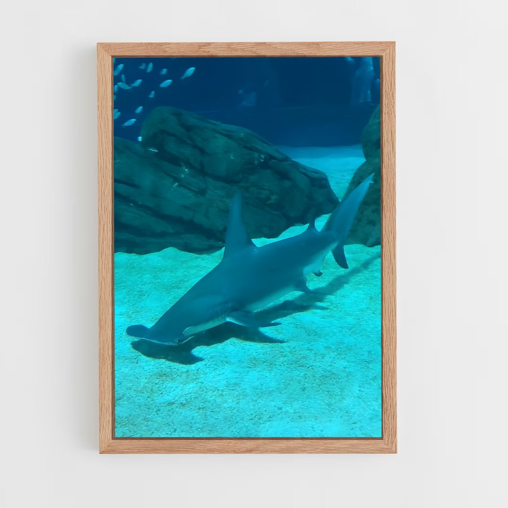 ap-hammerhead shark-4 cadre Bois clair