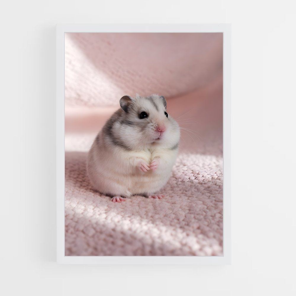 ap-hamster-1 cadre Blanc