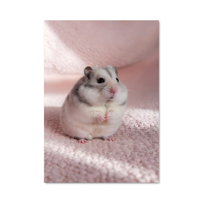 Poster Hamy Cozy