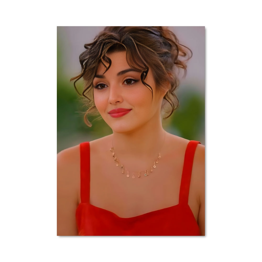 Poster Hande ercel 6788
