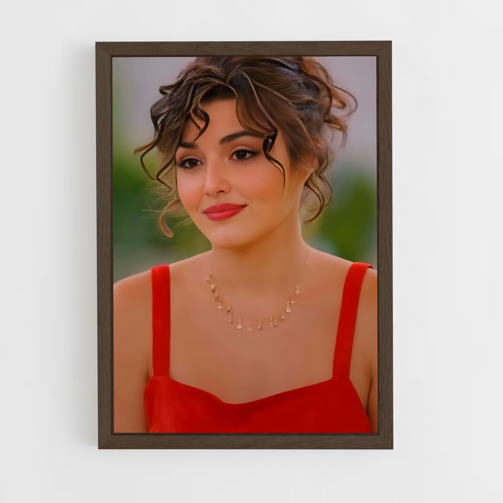 ap-hande ercel-11 cadre Bois foncé