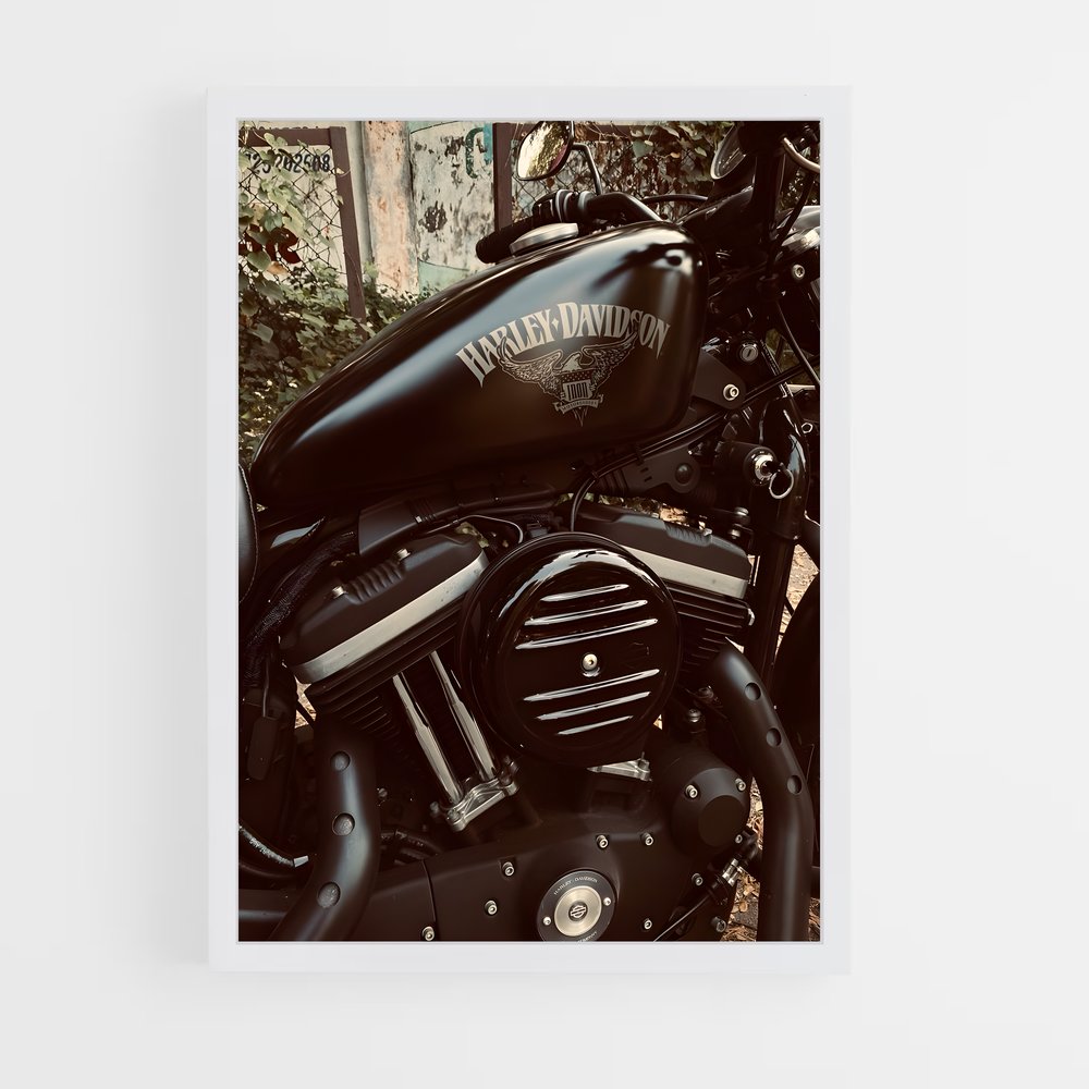 ap-harley davidson-2 cadre Blanc