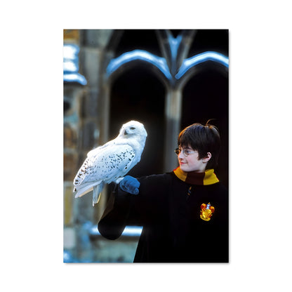 Poster Harry et Hedwige