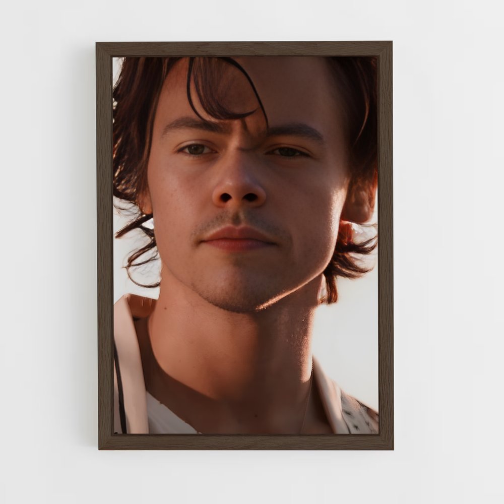 ap-harry styles-10 cadre Bois foncé