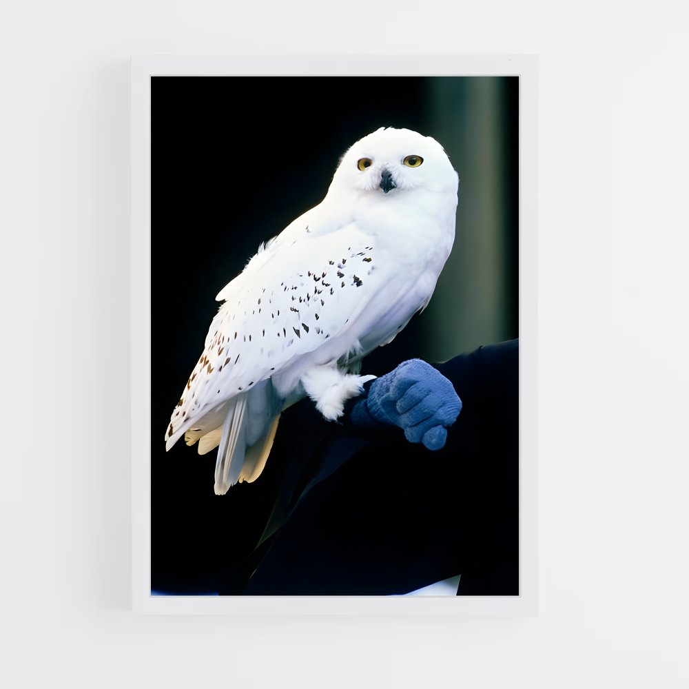 ap-hedwig-1 cadre Blanc