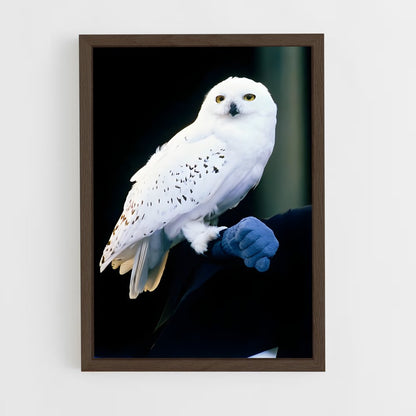 ap-hedwig-1 cadre Bois foncé