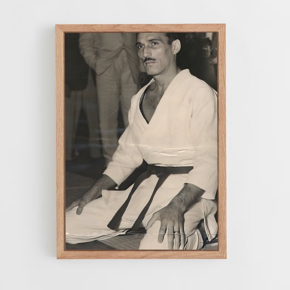 ap-helio gracie-1 cadre Bois clair