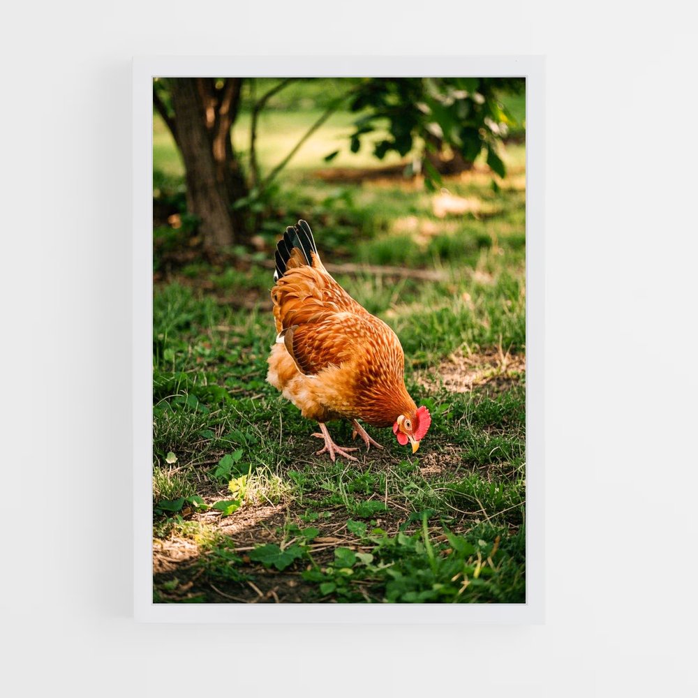 ap-hen-3 cadre Blanc