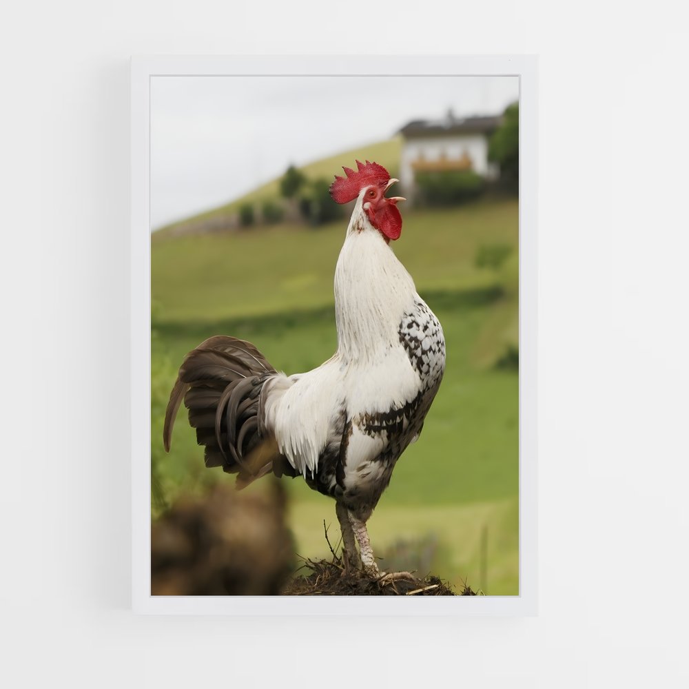ap-hen-6 cadre Blanc