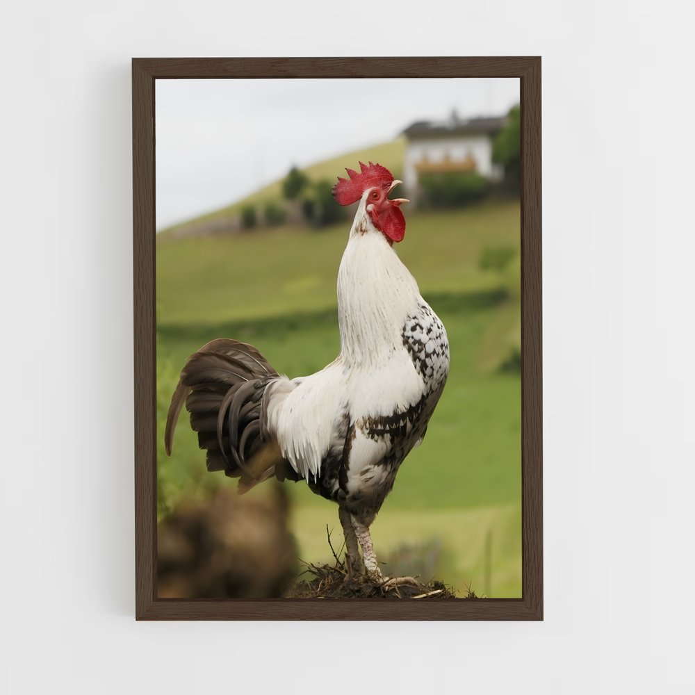 ap-hen-6 cadre Bois foncé