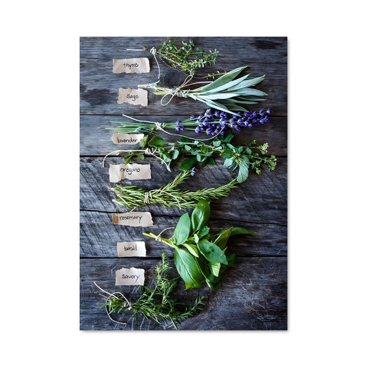 Poster Herbs de provence 24538