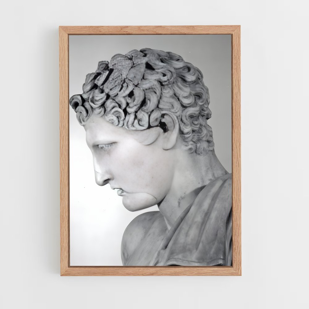 ap-hermes praxiteles-2 cadre Bois clair