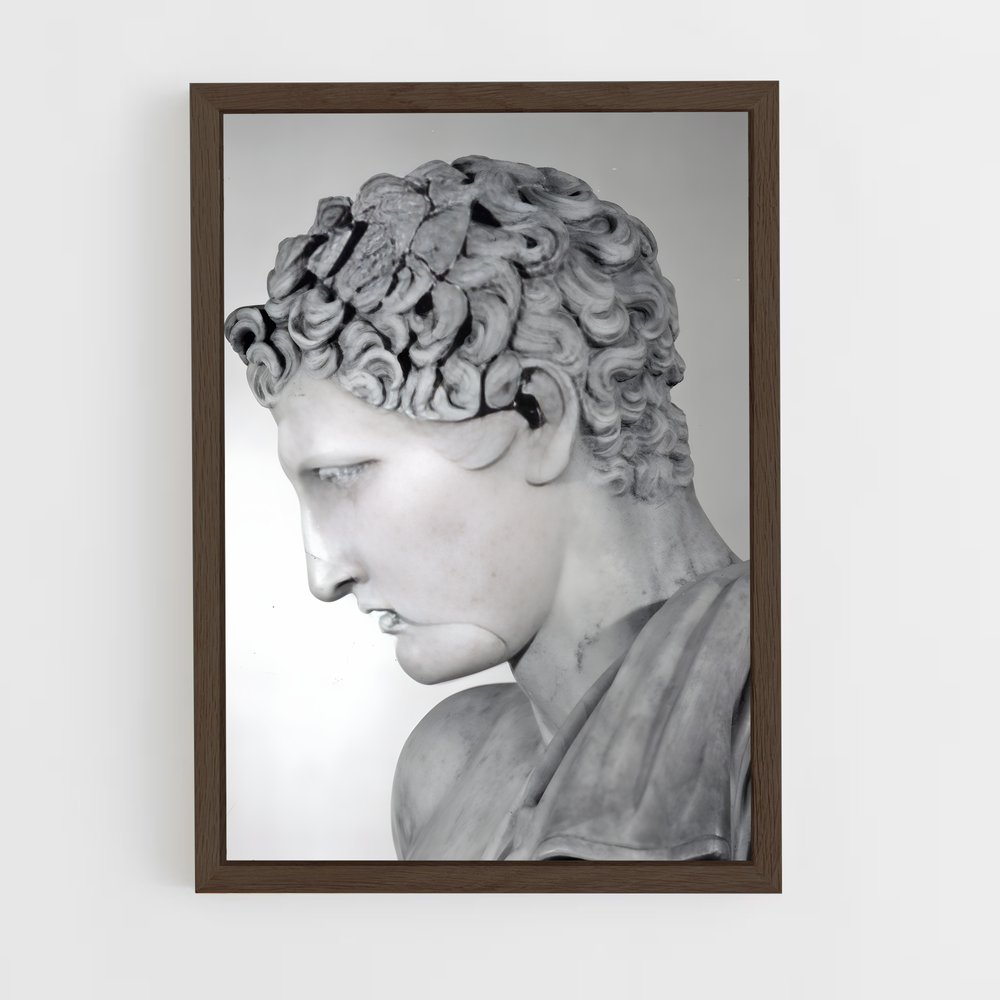 ap-hermes praxiteles-2 cadre Bois foncé