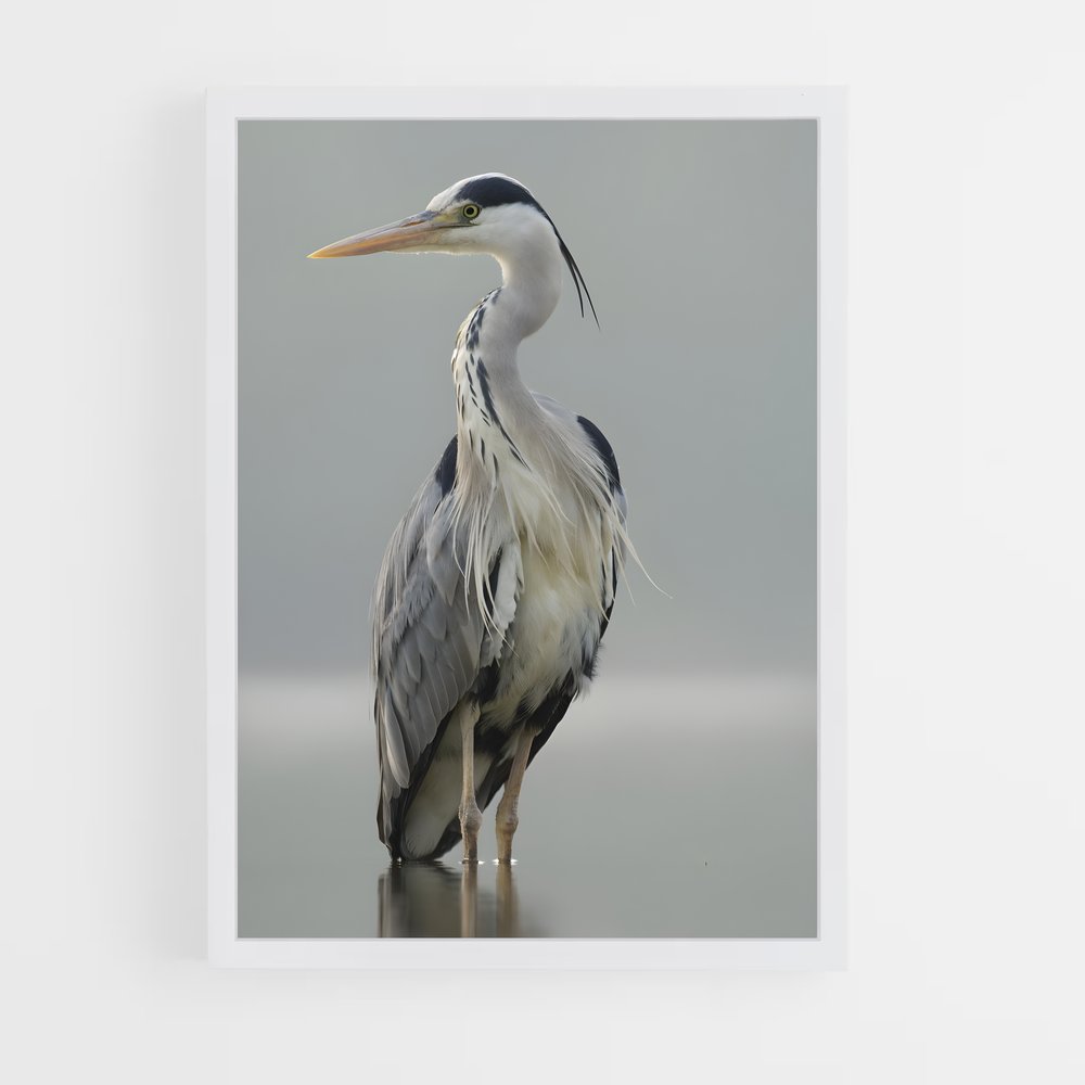 ap-heron-2 cadre Blanc