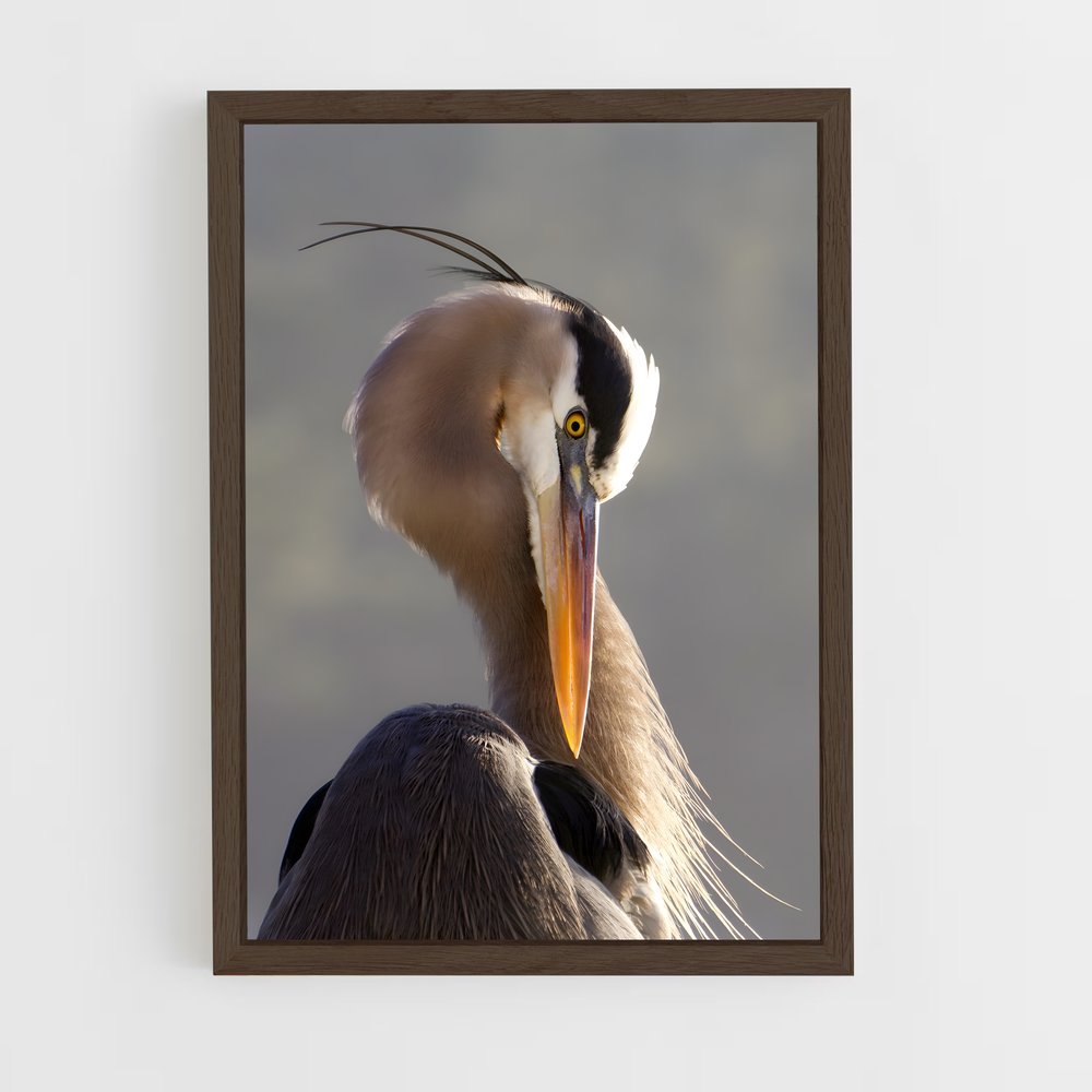 ap-heron-5 cadre Bois foncé