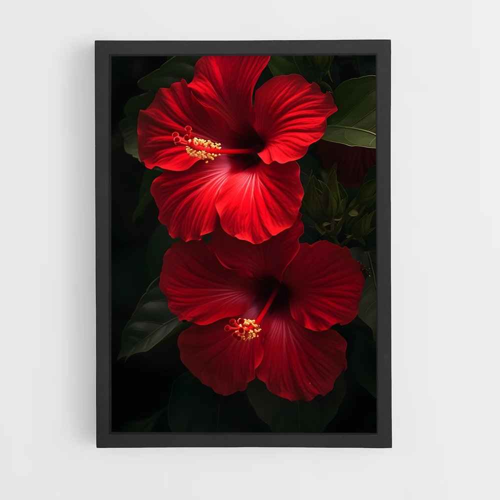 ap-hibiscus-1 cadre Noir