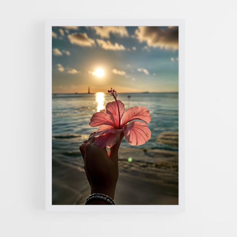 ap-hibiscus-16 cadre Blanc