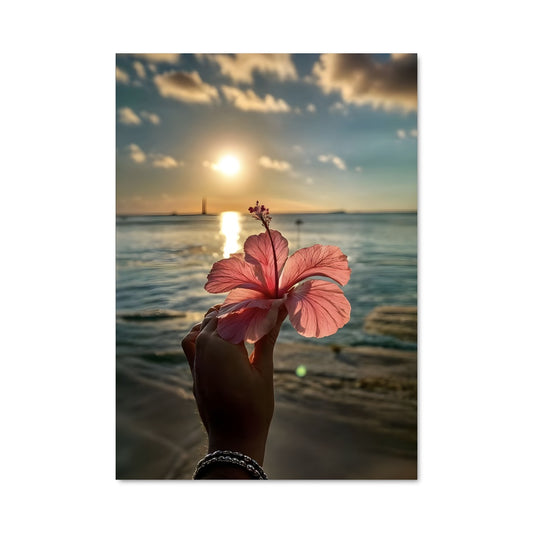 Poster Fleur de Hibiscus