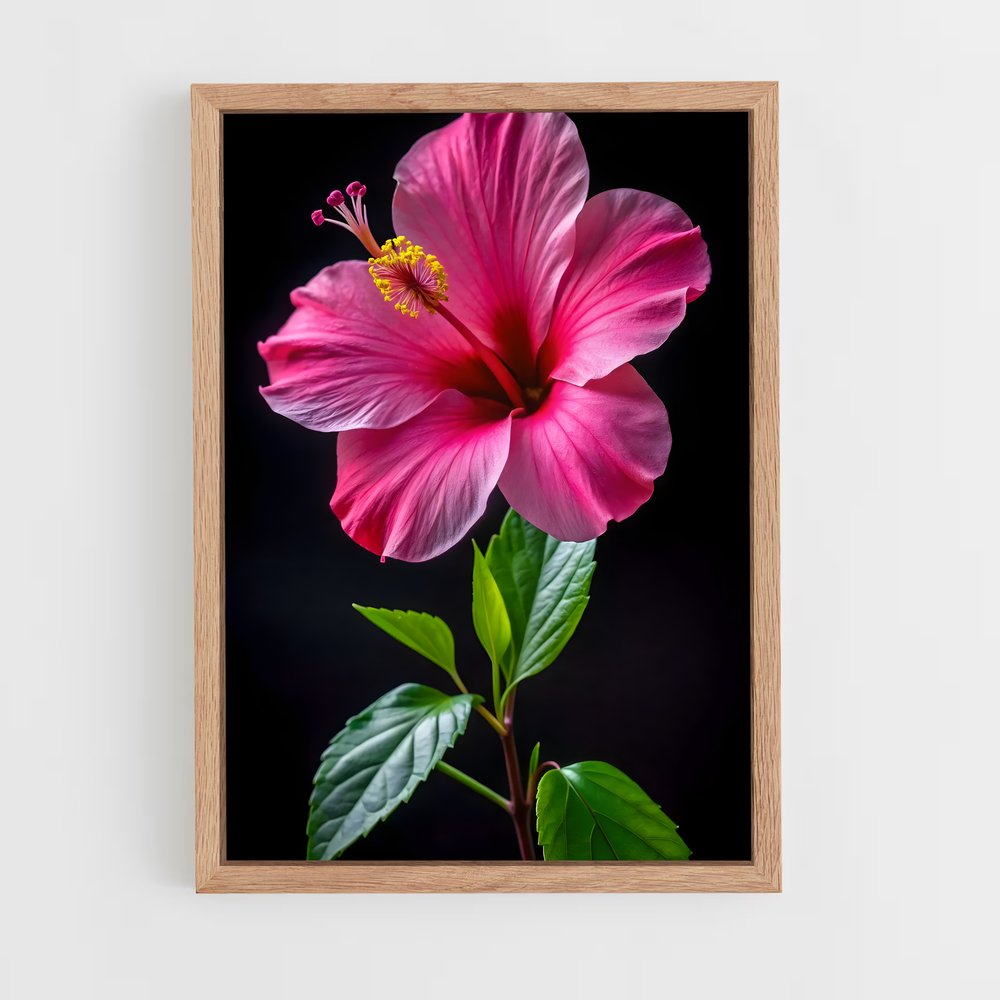 ap-hibiscus-2 cadre Bois clair
