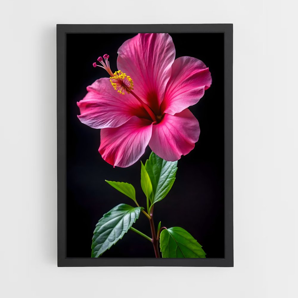 ap-hibiscus-2 cadre Noir