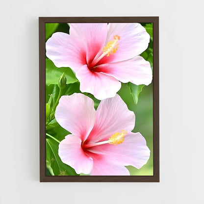 ap-hibiscus-5 cadre Bois foncé