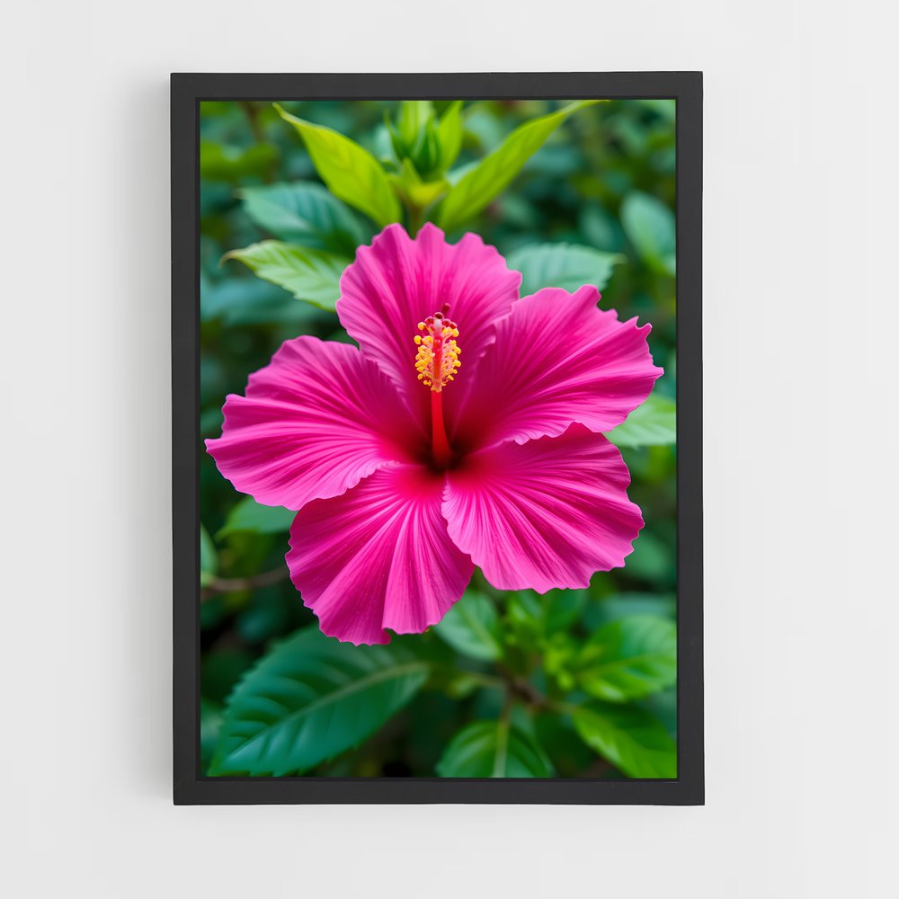 ap-hibiscus-9 cadre Noir