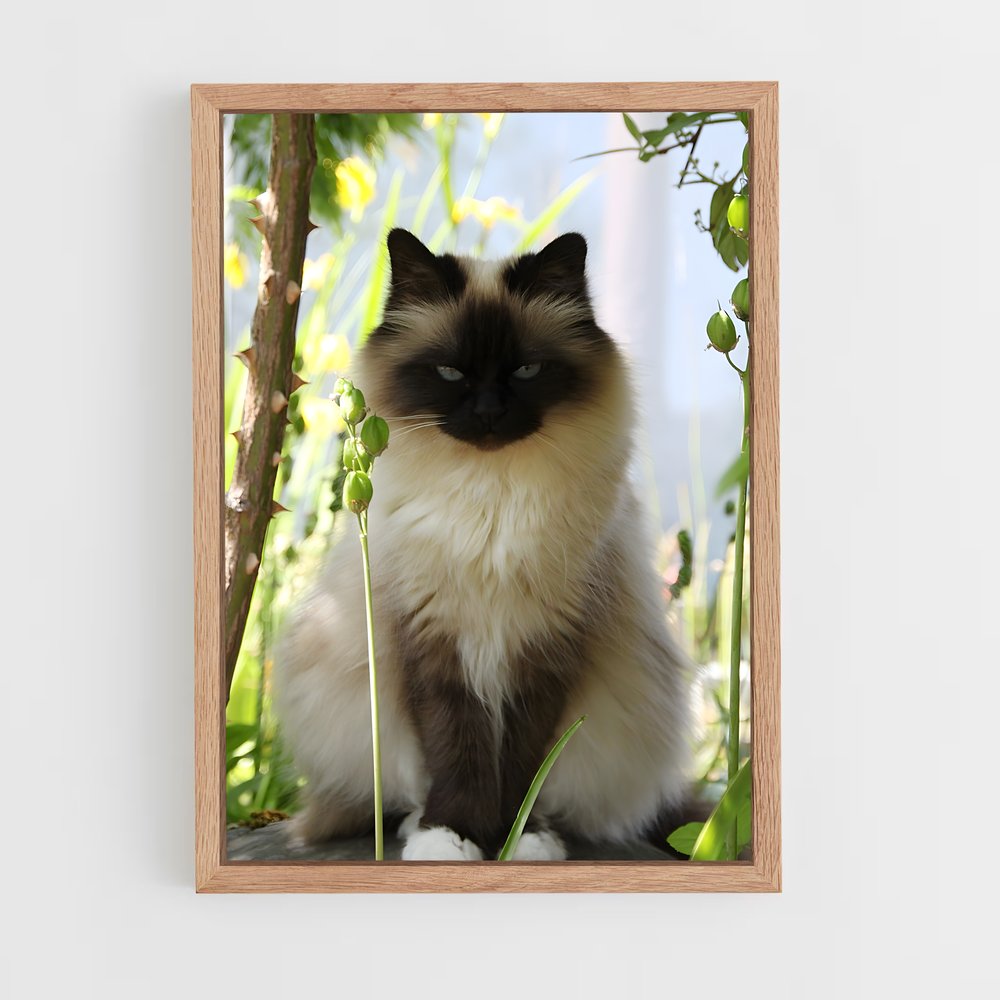 ap-himalayan-3 cadre Bois clair
