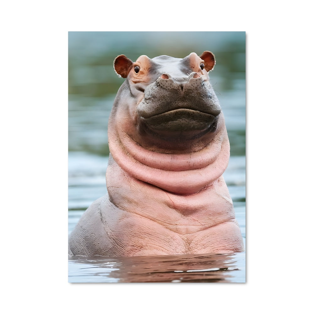 Poster Hippopotame Nautique