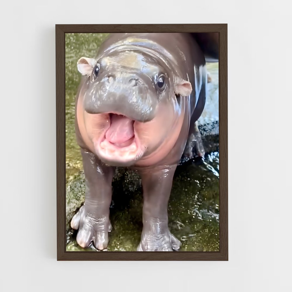 ap-hippo-2 cadre Bois foncé
