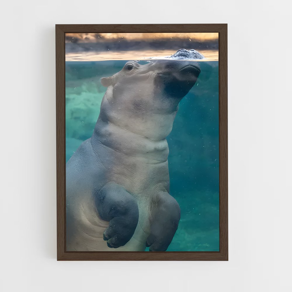 ap-hippo-4 cadre Bois foncé