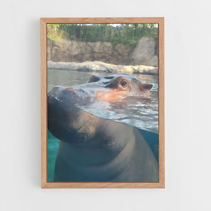 ap-hippo-6 cadre Bois clair