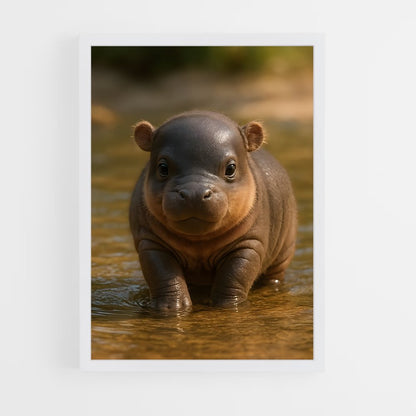 ap-hippo-8 cadre Blanc