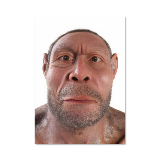 Poster Le Sage Visage