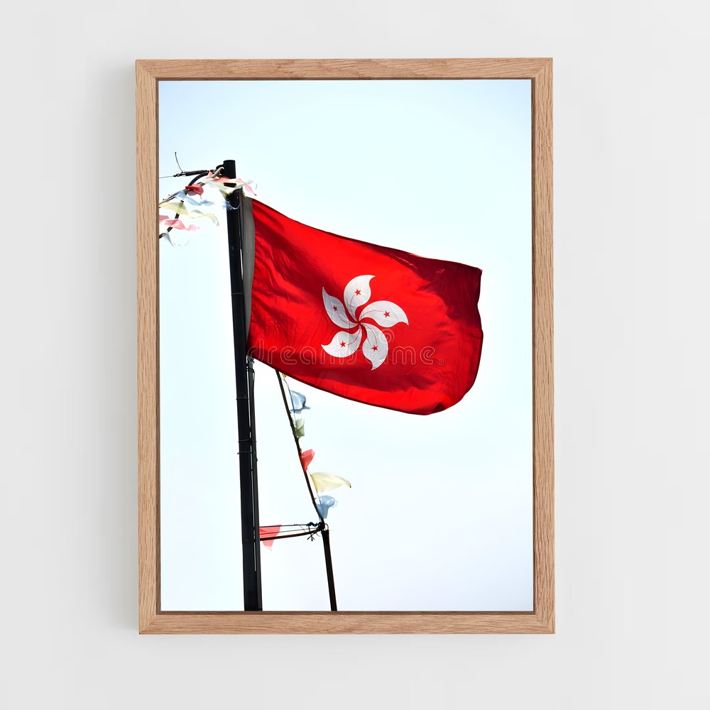 ap-hong kong flag-1 cadre Bois clair