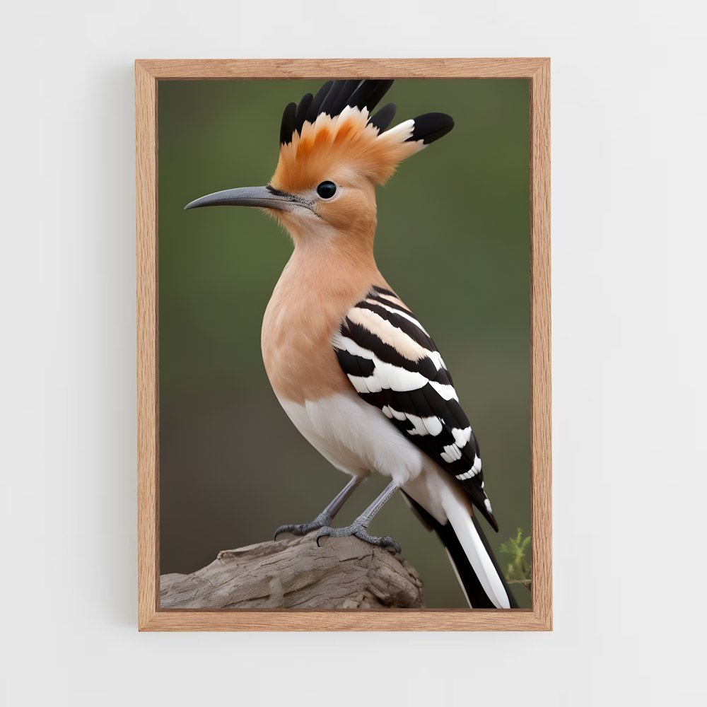 ap-hoopoe-1 cadre Bois clair
