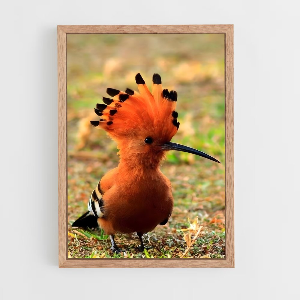 ap-hoopoe-10 cadre Bois clair