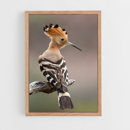 ap-hoopoe-4 cadre Bois clair