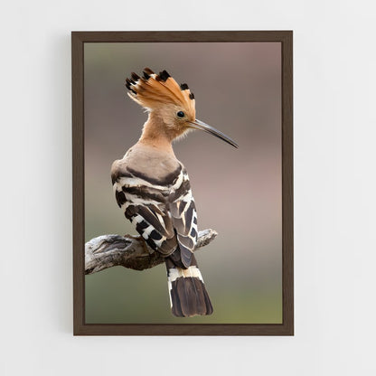 ap-hoopoe-4 cadre Bois foncé
